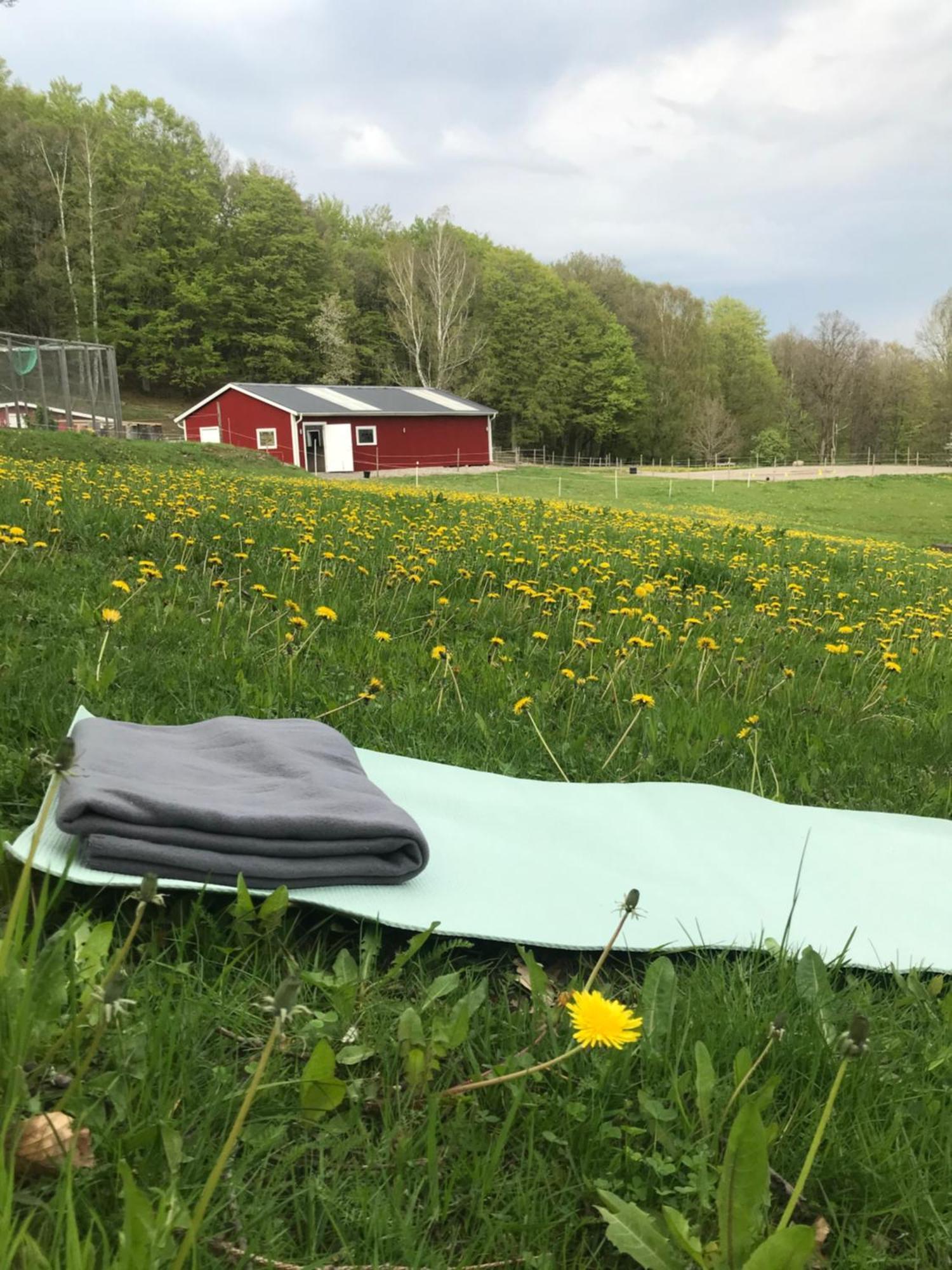 Stenlid - Med Naturen Och Lugnet I Fokus Veddige Exteriér fotografie