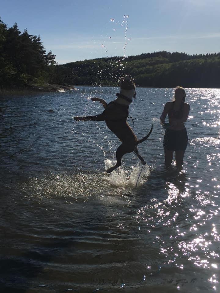 Stenlid - Med Naturen Och Lugnet I Fokus Veddige Pokoj fotografie